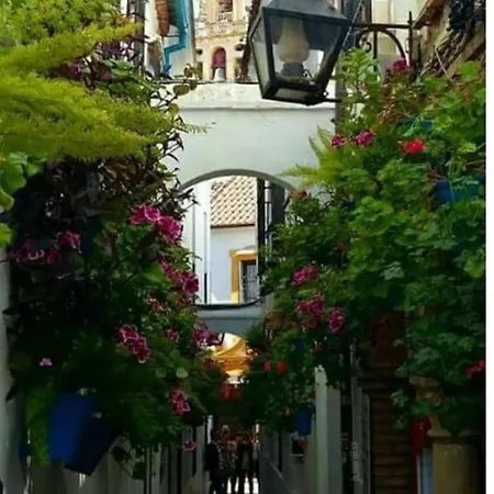 Enhouseapartamentos قرطبة